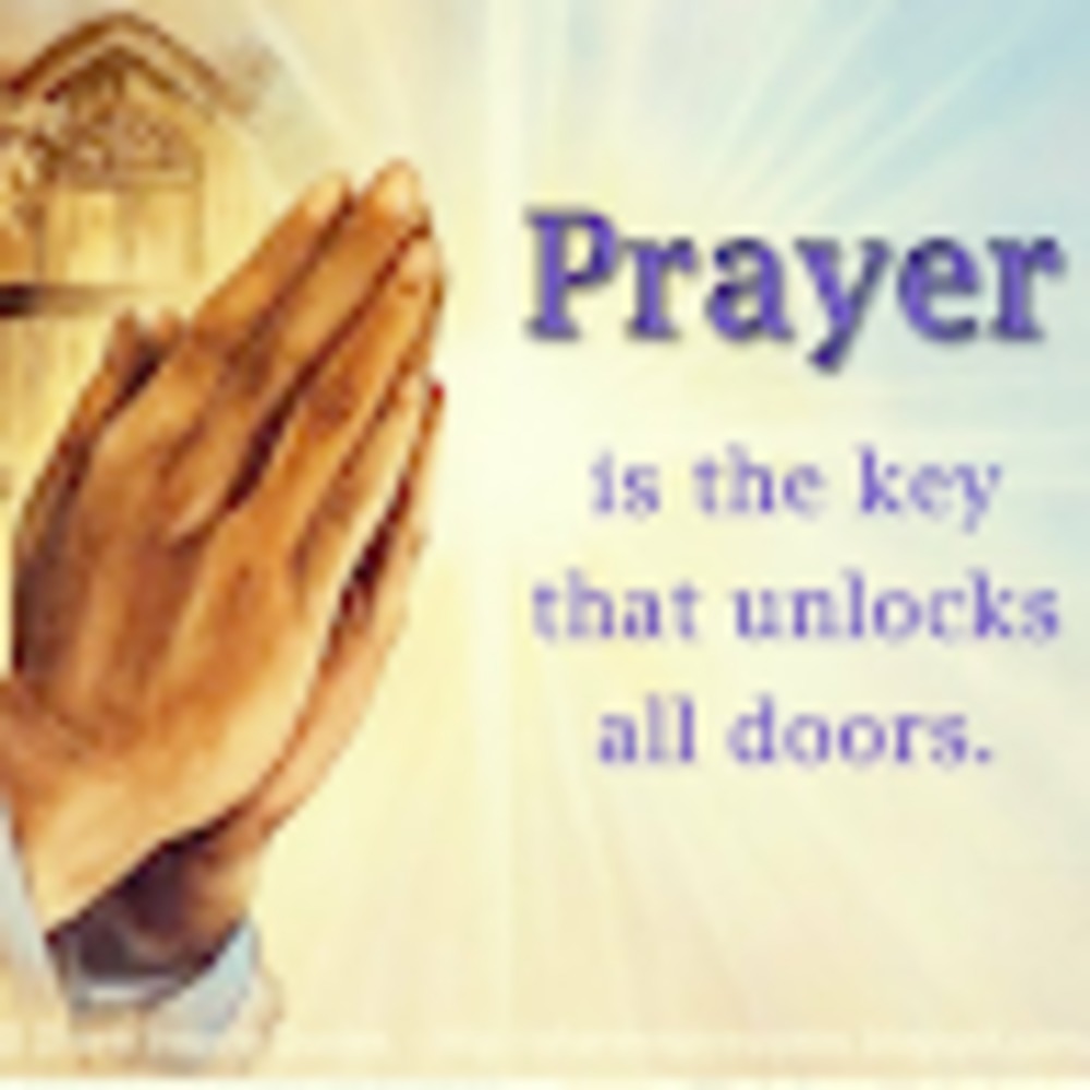 Meet your Posher, Shelton